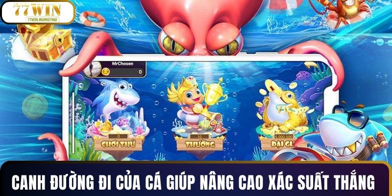 Canh đường đi của cá giúp nâng cao xác suất thắng