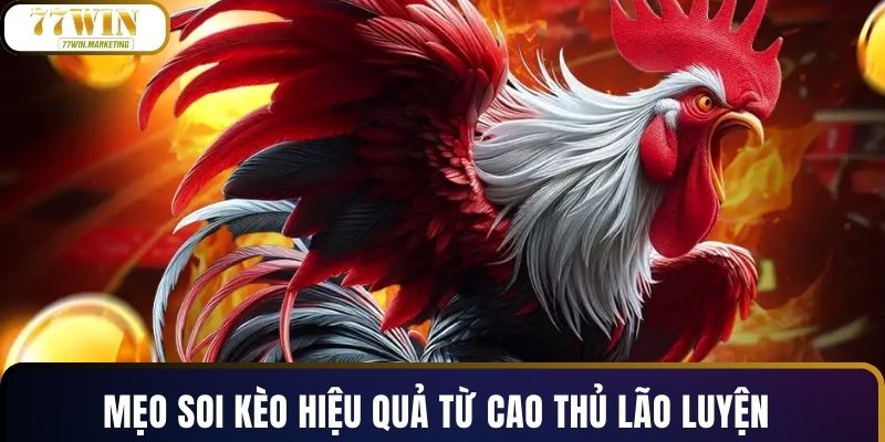 Mẹo soi kèo hiệu quả từ cao thủ lão luyện